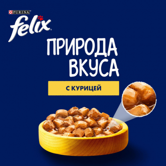 Влажный корм Felix Природа вкуса для взрослых кошек с курицей в соусе