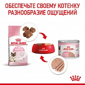 Консервы Royal Canin Babycat Instinctive (мусс) для котят с момента рождения до 4 месяцев Консервы Royal Canin Babycat Instinctive (мусс) для котят с момента рождения до 4 месяцев