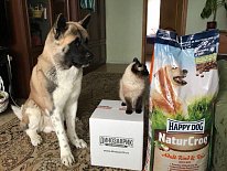 Рубрика «Дино дня!». Присоединяйтесь и вы к нам!