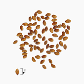 Сухой Корм Brit Premium Cat Sterilized для кастрированных котов с лососем и курицей