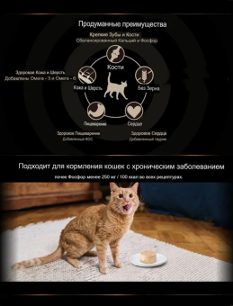Банки Pettric Cherie Healthy Living для кошек мусс из тунца с лососем