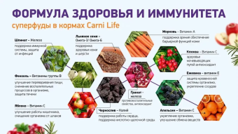 Корм Carni Medium Maxi для средних и крупных пород собак с говядиной, черносливом и клюквой