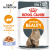 Royal Canin Intense Beauty корм консервированный для взрослых кошек в желе