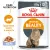 Royal Canin Intense Beauty корм консервированный для взрослых кошек в желе Royal Canin Intense Beauty корм консервированный для взрослых кошек в желе