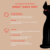 Паучи Enso Daily Diet для взросл кошек для здоровья печени кусочки в соусе с индейкой Паучи Enso Daily Diet для взросл кошек для здоровья печени кусочки в соусе с индейкой