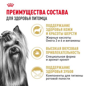 Корм для котят Royal Canin Kitten Корм сухой сбалансированный период второй фазы роста