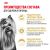 Корм для котят Royal Canin Kitten Корм сухой сбалансированный период второй фазы роста