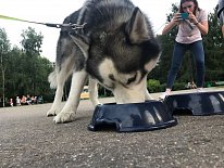 Дегустация в зоомагазине «Динозаврик» (Ул.Снежная, д.16к6)!