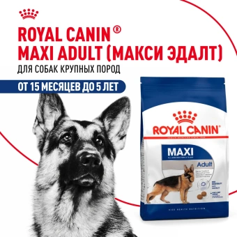 Корм сухой Royal Canin Maxi Adult для взрослых собак крупных размеров