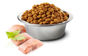 Корм Farmina N&D Ocean Cat Herring Pumpkin & Orange Adult беззерновой для кошек с сельдью, тыквой и апельсином