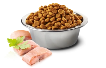 Корм Farmina N&D Ocean Cat Herring Pumpkin & Orange Adult беззерновой для кошек с сельдью, тыквой и апельсином