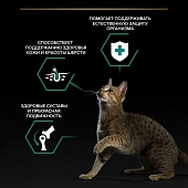 Влажный корм PRO PLAN® MAINTENANCE для взрослых кошек, кусочки с говядиной в соусе Влажный корм PRO PLAN® MAINTENANCE для взрослых кошек, кусочки с говядиной в соусе