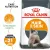Royal Canin Hair&Skin Care корм сухой для взрослых кошек для поддержания здоровья кожи и шерсти Royal Canin Hair&Skin Care корм сухой для взрослых кошек для поддержания здоровья кожи и шерсти