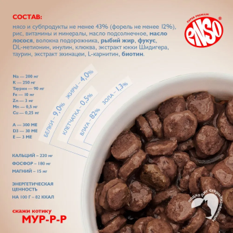 Паучи Enso Daily Diet для взрослых кошек для кожи и шерсти кусочки в соусе с форелью