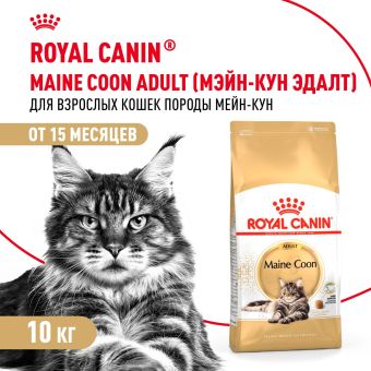 Корм для кошек Royal Canin Maine Coon Adult Корм сухой сбалансированный для взрослых кошек породы Мэйн Кун