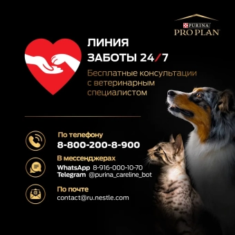 Сухой корм PRO PLAN® для собак с чувствительным пищеварением GRAIN FREE (беззерновой), с высоким содержанием индейки