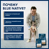 Сухой Корм Blue Native Holistic Beef для щенков и взрослых собак мелких пород с говядиной