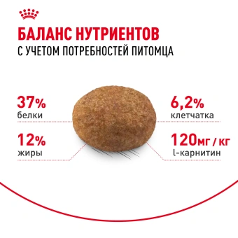 Корм для кошек Royal Canin Sterilised 37 сухой сбалансированный для стерилизованных кошек