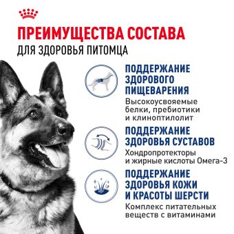 Корм сухой Royal Canin Maxi Adult для взрослых собак крупных размеров