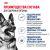 Корм сухой Royal Canin Maxi Adult для взрослых собак крупных размеров