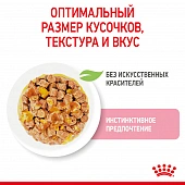 Паучи Royal Canin Kitten Instinctive (в желе) для котят с 4 до 12 месяцев Паучи Royal Canin Kitten Instinctive (в желе) для котят с 4 до 12 месяцев