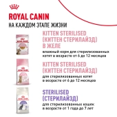 Консервированный корм для котят Royal Canin Kitten в возрасте до 12 месяцев в соусе