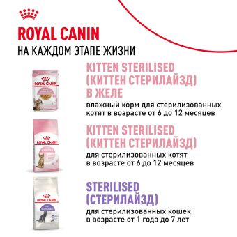 Консервированный корм для котят Royal Canin Kitten в возрасте до 12 месяцев в соусе
