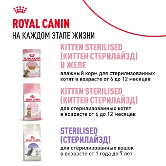 Консервированный корм для котят Royal Canin Kitten в возрасте до 12 месяцев в соусе