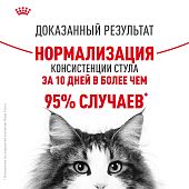Сухой Корм Royal Canin Digestive Care для взрослых кошек с расстройством пищеварительной системы