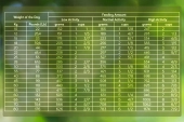 Корм Alleva Holistic Dog Lamb&Venison для взрослых собак средних/крупных пород с...