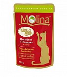 Лакомства и корма для кошек Molina