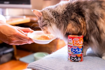 Банки Inaba Toromi для кошек с куриным филе и тунцом магуро и кацуобуси в бульоне