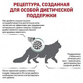 Royal Canin Diabetic DS 46 Feline корм для взрослых кошек при сахарном диабете, сухой диетический