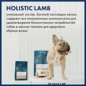 Сухой Корм Blue Native Holistic Lamb для взрослых собак средних и крупных пород с ягнёнком Сухой Корм Blue Native Holistic Lamb для взрослых собак средних и крупных пород с ягнёнком