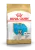 Корм Royal Canin French Bulldog Puppy для щенков породы Французский бульдог Корм Royal Canin French Bulldog Puppy для щенков породы Французский бульдог