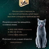 Паучи Sheba для кошек паштет из лосося в желе