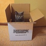 Рубрика «Дино дня!». Присоединяйтесь и вы к нам!