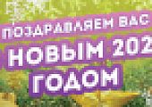 Режим работы зоомагазинов Динозаврик в праздники