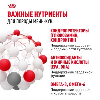 Корм для кошек Royal Canin Maine Coon Adult Корм сухой сбалансированный для взрослых кошек породы Мэйн Кун
