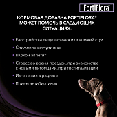 Пищевая добавка Pro Plan Veterinary Diets Forti Flora для собак и щенков Пищевая добавка Pro Plan Veterinary Diets Forti Flora для собак и щенков
