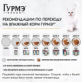 Влажный корм Гурмэ Перл Нежное филе для кошек, с говядиной в соусе, Пауч