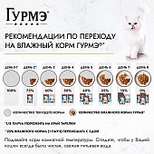 Влажный корм Гурмэ Перл Нежное филе для кошек, с говядиной в соусе, Пауч Влажный корм Гурмэ Перл Нежное филе для кошек, с говядиной в соусе, Пауч