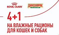 Акция 4+1 на влажные консервы Royal Canin!