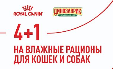 Акция 4+1 на влажные консервы Royal Canin!