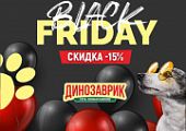 Чёрная пятница! Скидка 15% на ограниченный ассортимент!