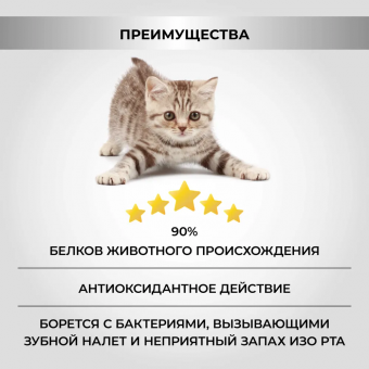 Корм Necon Natural Wellness Kitten Turkey and Rice для котят 1-6 месяцев и их матерей кошек с индейкой и рисом