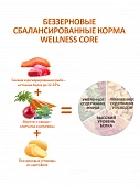 Сухой Корм Wellness Core для взрослых собак мелких пород из лосося с тунцом