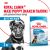 Корм для собак Royal Canin Maxi Puppy Корм сухой для щенков крупных размеров до 15 месяцев