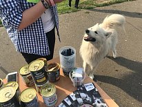 Дегустация в зоомагазине «Динозаврик» (Ул.Снежная, д.16к6)!