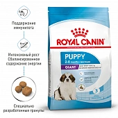 Royal Canin Giant Puppy корм сухой для щенков очень крупных размеров до 8 месяцев